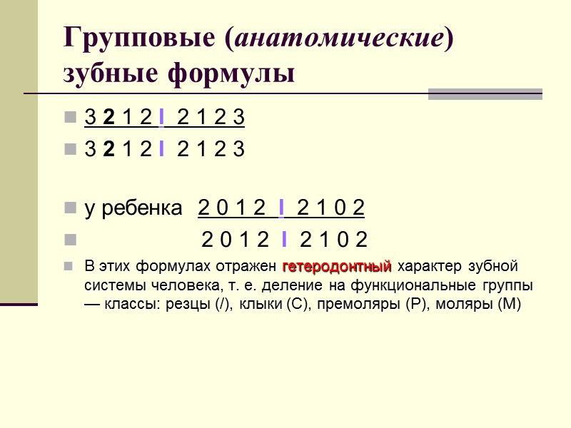 Групповые (анатомические) зубные формулы 3 2 1 2 I  2 1 2 3